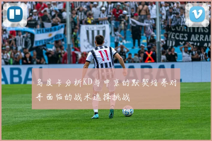 乌度卡分析KD与申京的默契培养对手面临的战术选择挑战