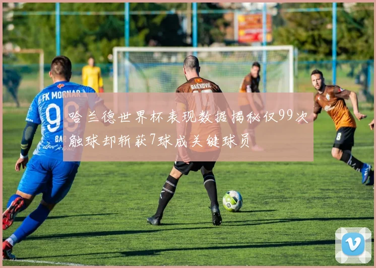 哈兰德世界杯表现数据揭秘仅99次触球却斩获7球成关键球员