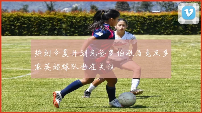 热刺今夏计划免签罗伯逊马竞及多家英超球队也在关注