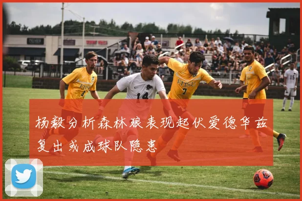 杨毅分析森林狼表现起伏爱德华兹复出或成球队隐患
